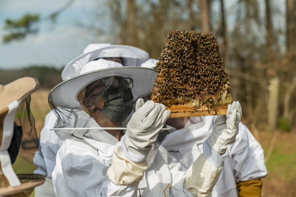 Students Handle Bee Trays in Beekeeping Course