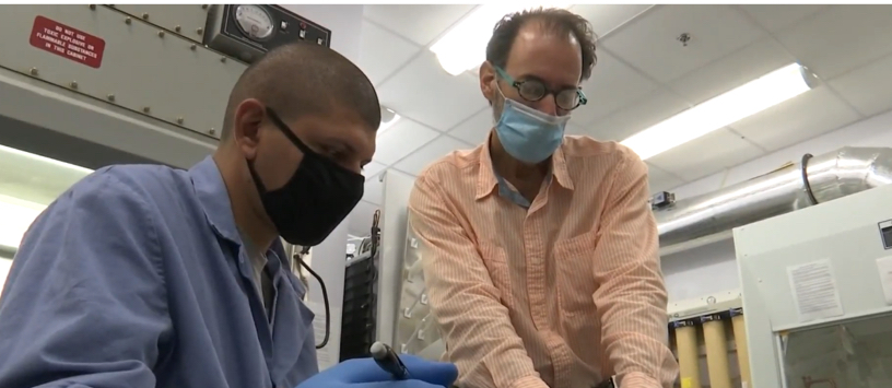 Lead author Michael Almeida (left) and Dr. Ben Bahr of the William C. Friday Laboratory & Alzheimer's Disease Research Laboratory