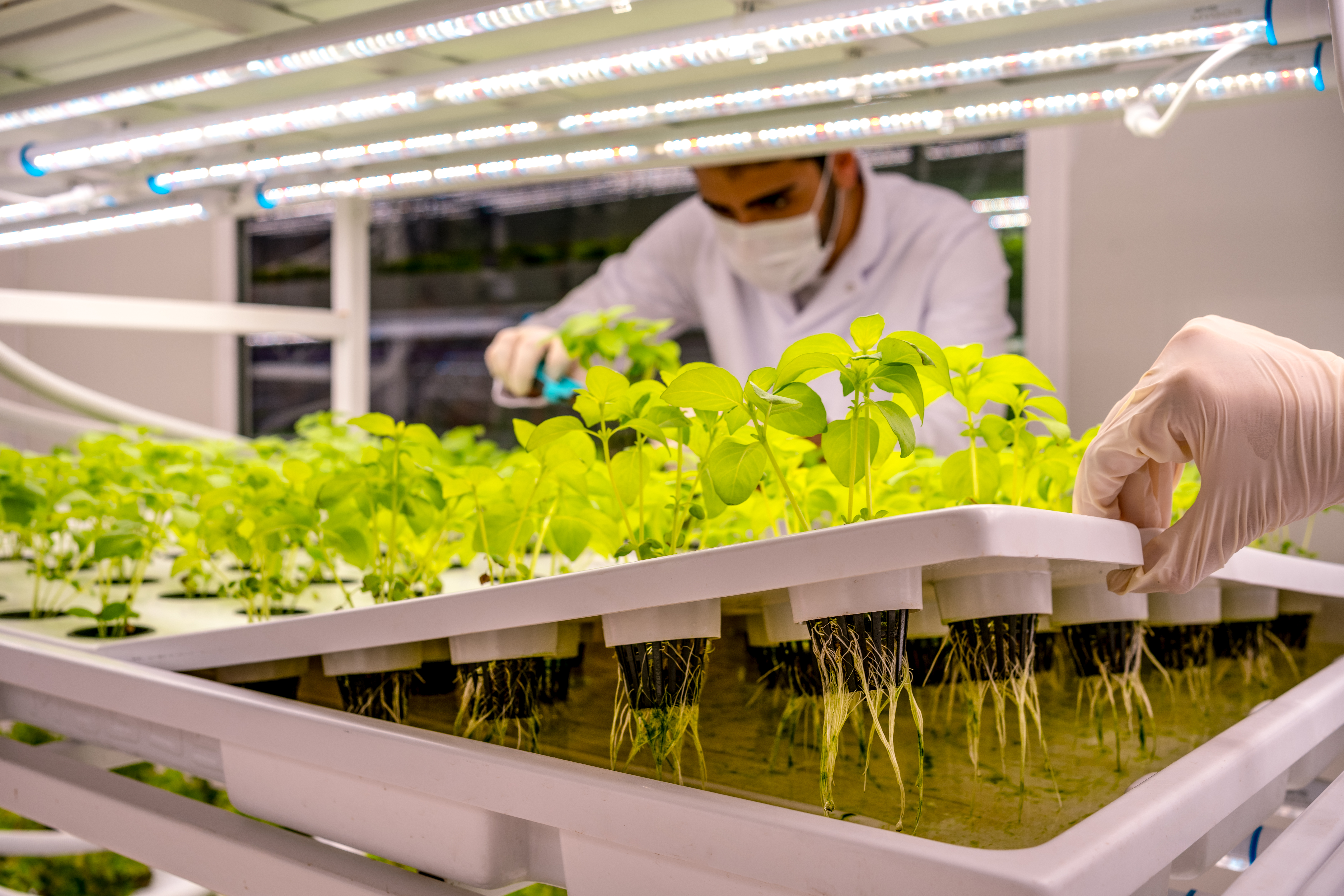 UNCP Enviromental Science Alum doing research