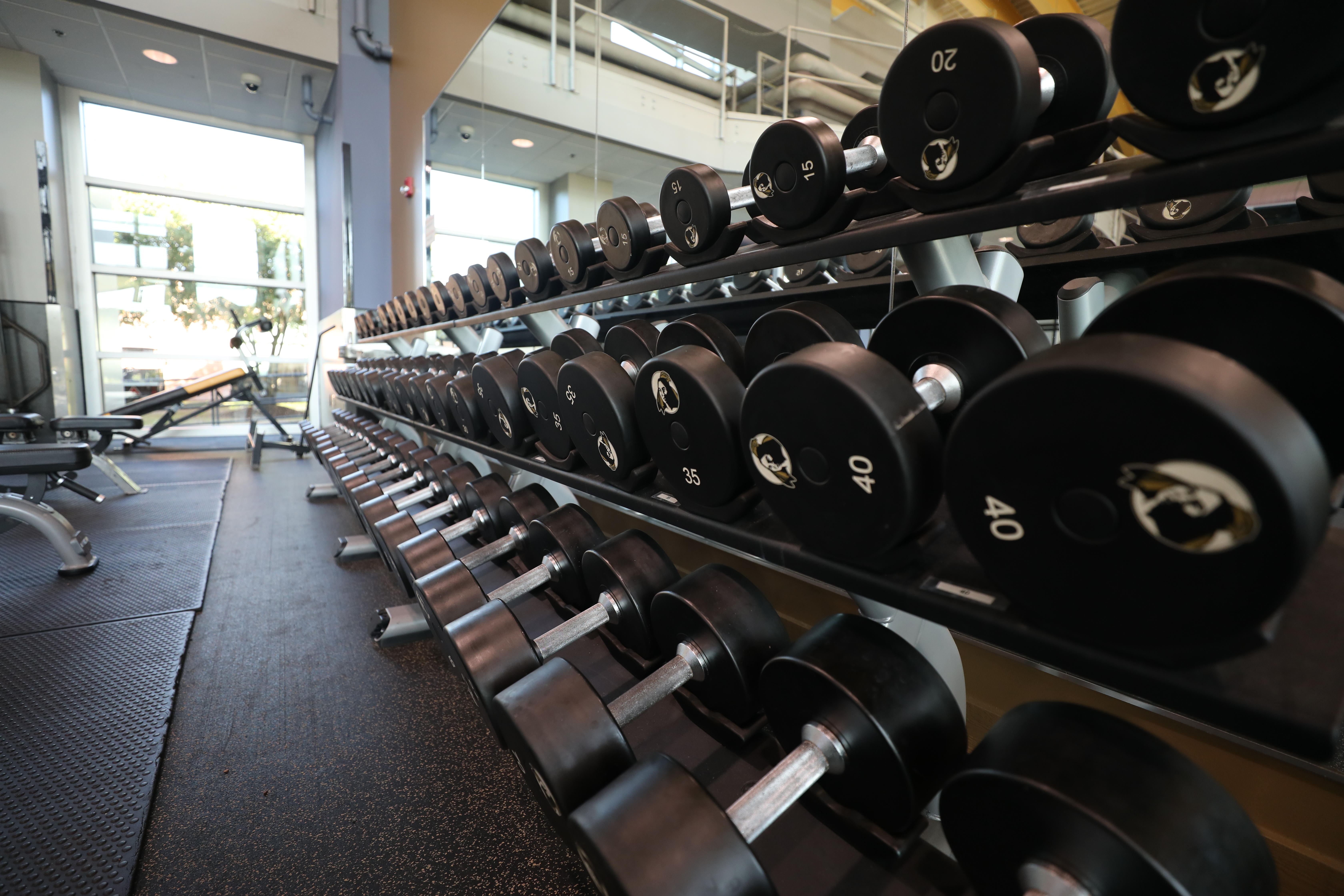 Dumbbells in the UNCP Campbell Wellness Center