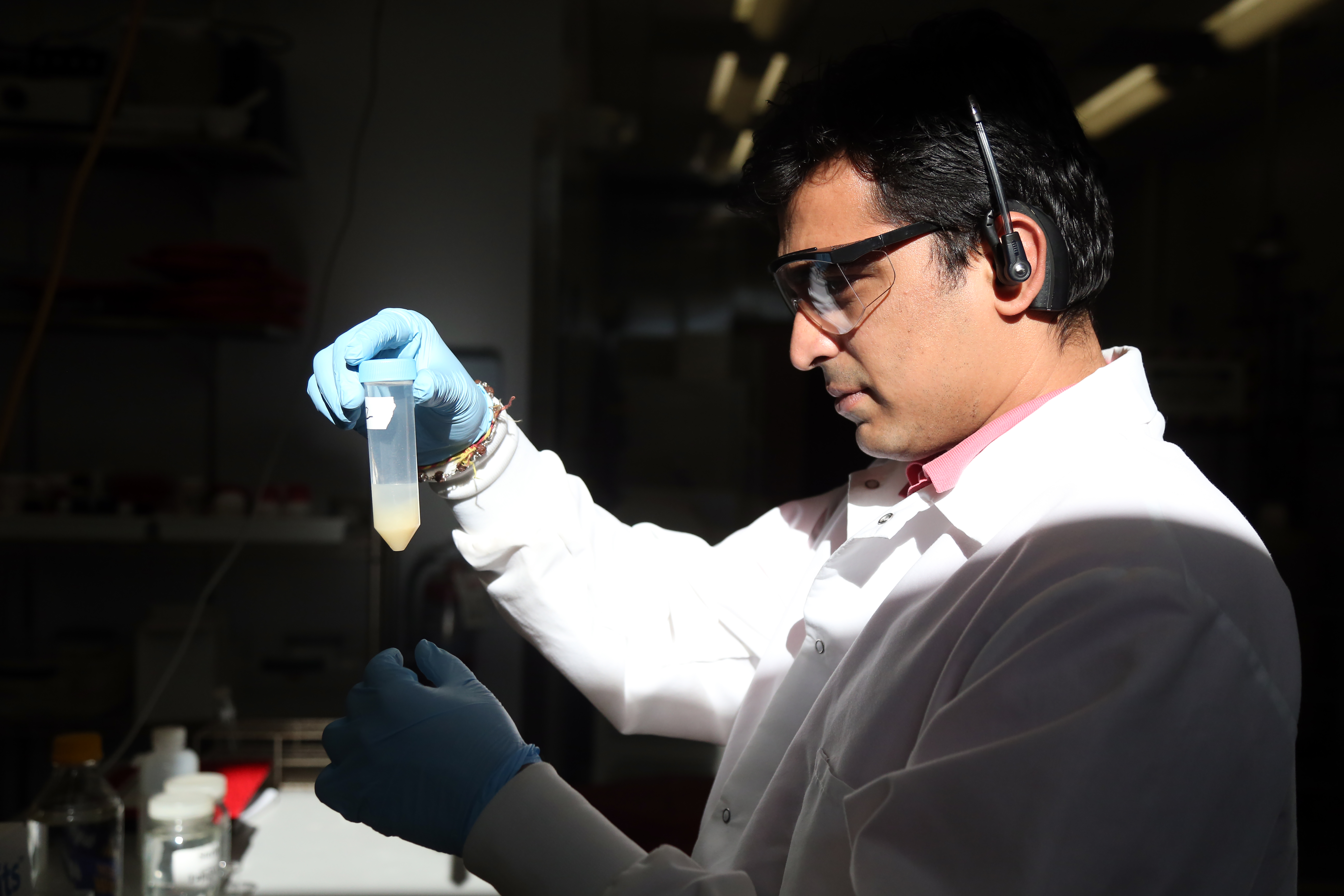 UNCP faculty member in lab looking at research tube