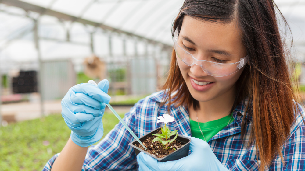 A UNCP agriculture student works with a plant and dropper in the campus greenhouse, representing hands-on horticultural learning.