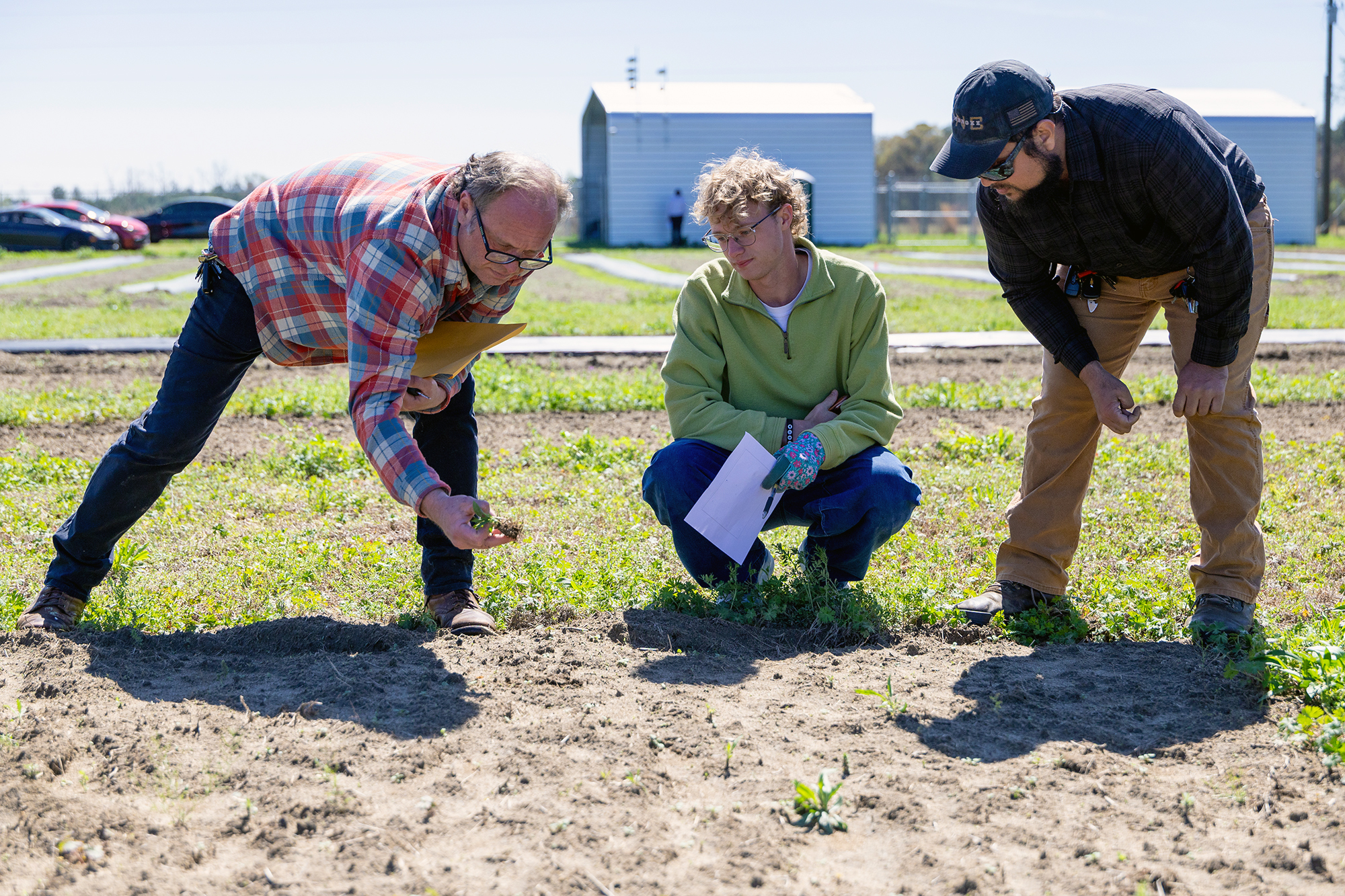 UNCP Agriculture professor Dr. Bryan Sales stands on a farm and shows a plant to a student and local farmer. 