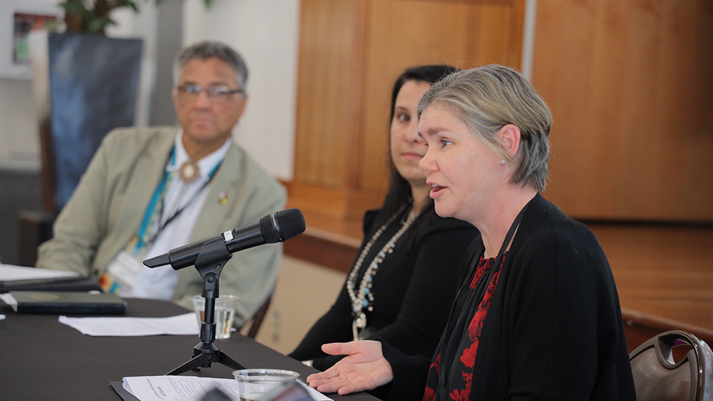 Erica Little and Panelists Dr. Ronnie Bell and Dr. Jada Brooks