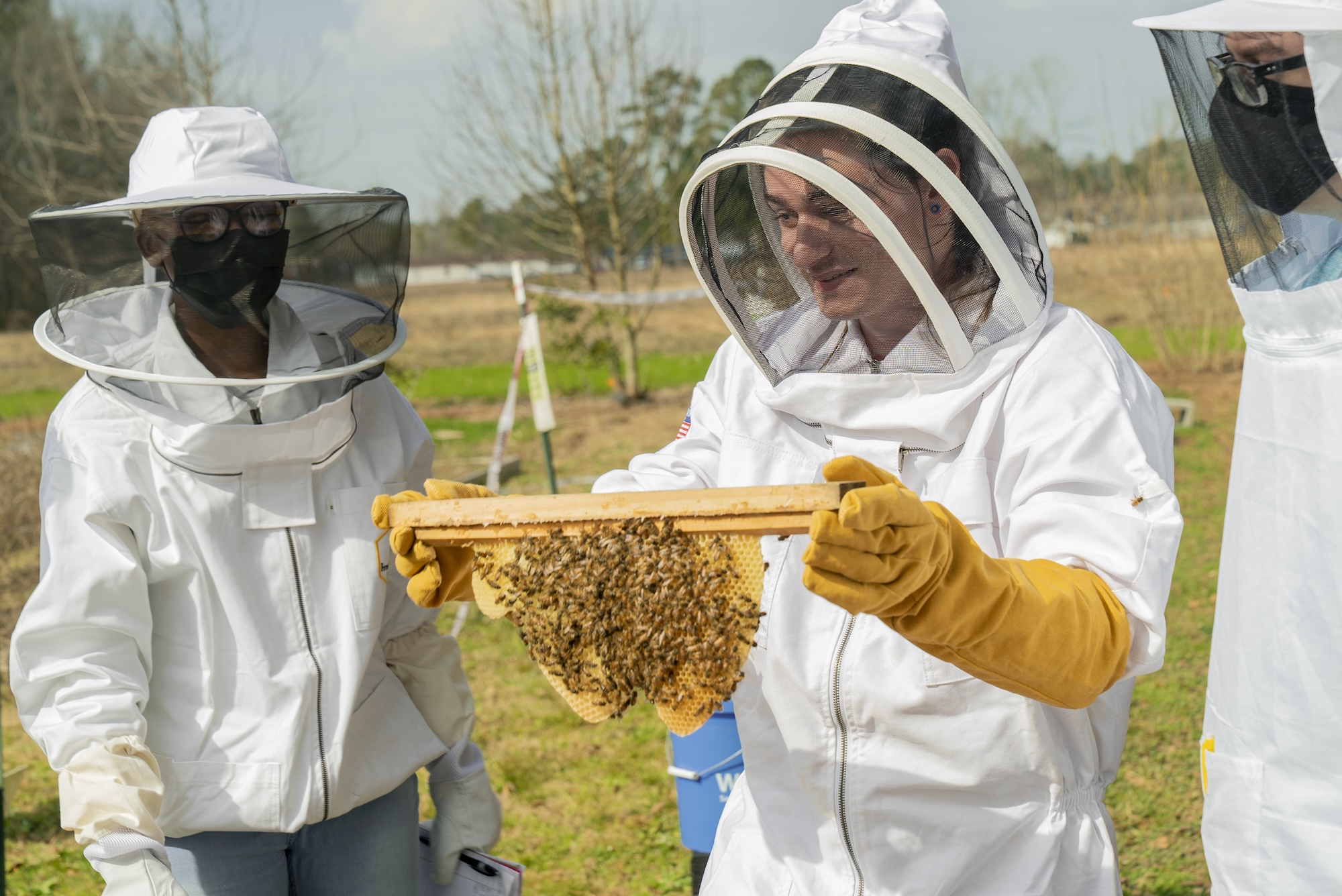 A student explores the inner workings of a campus beehive during an apiary class session.
