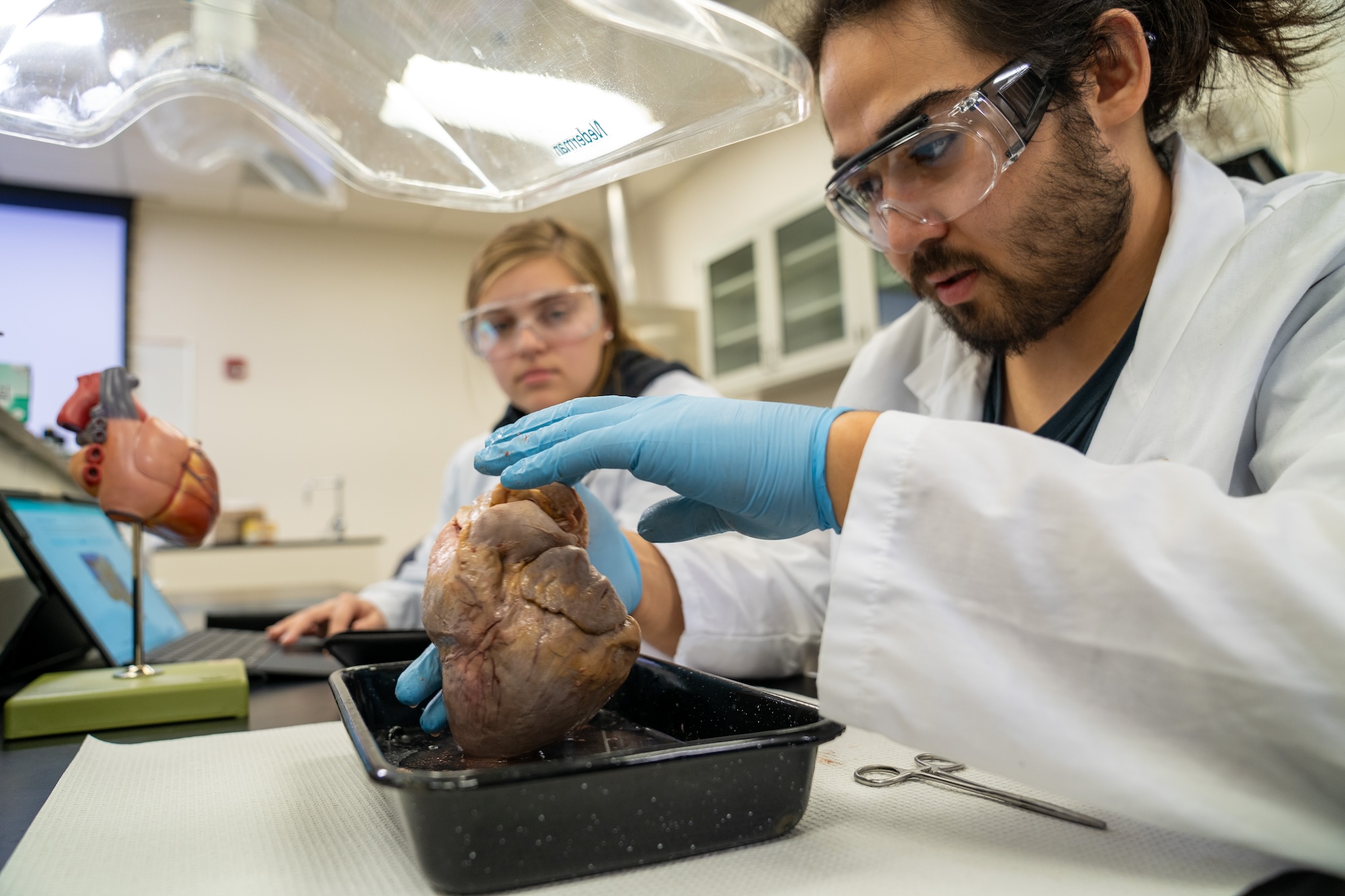 Silvia Smith biology dissection students