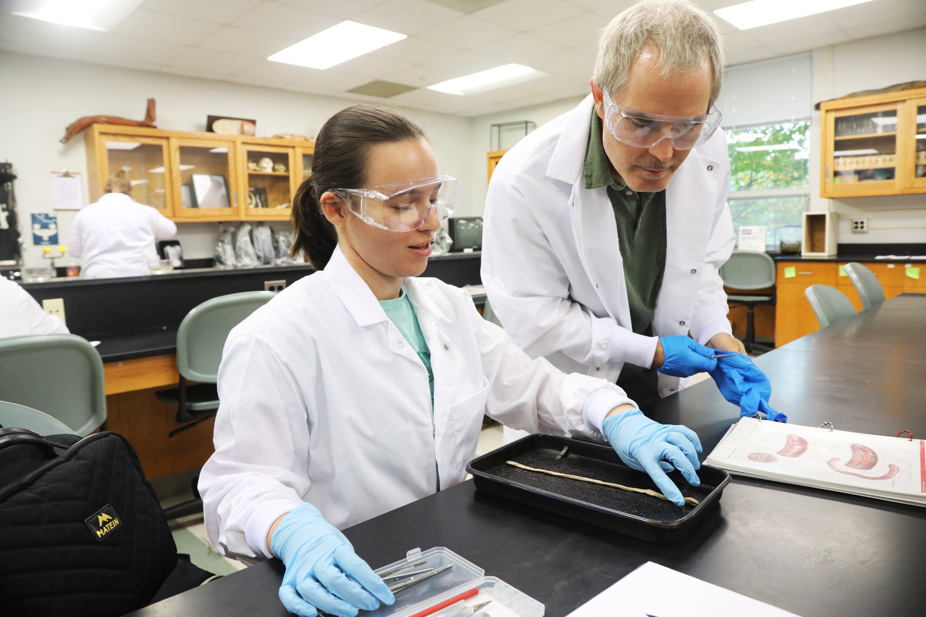 Professor John Roe looks over the shoulder of a female zoology student dissecting a worm in a science lab at UNC Pembroke.
