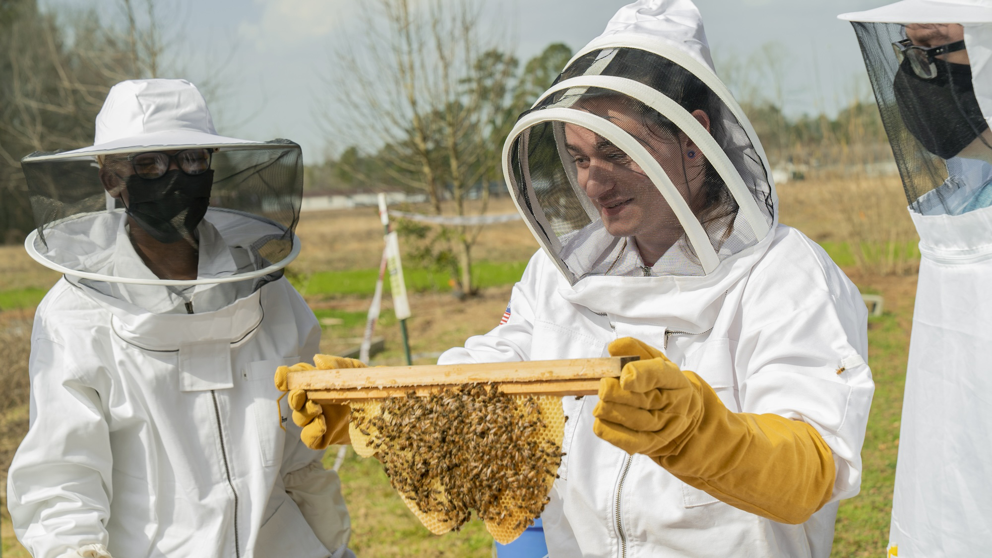 A student explores the inner workings of a campus beehive during an apiary class session.