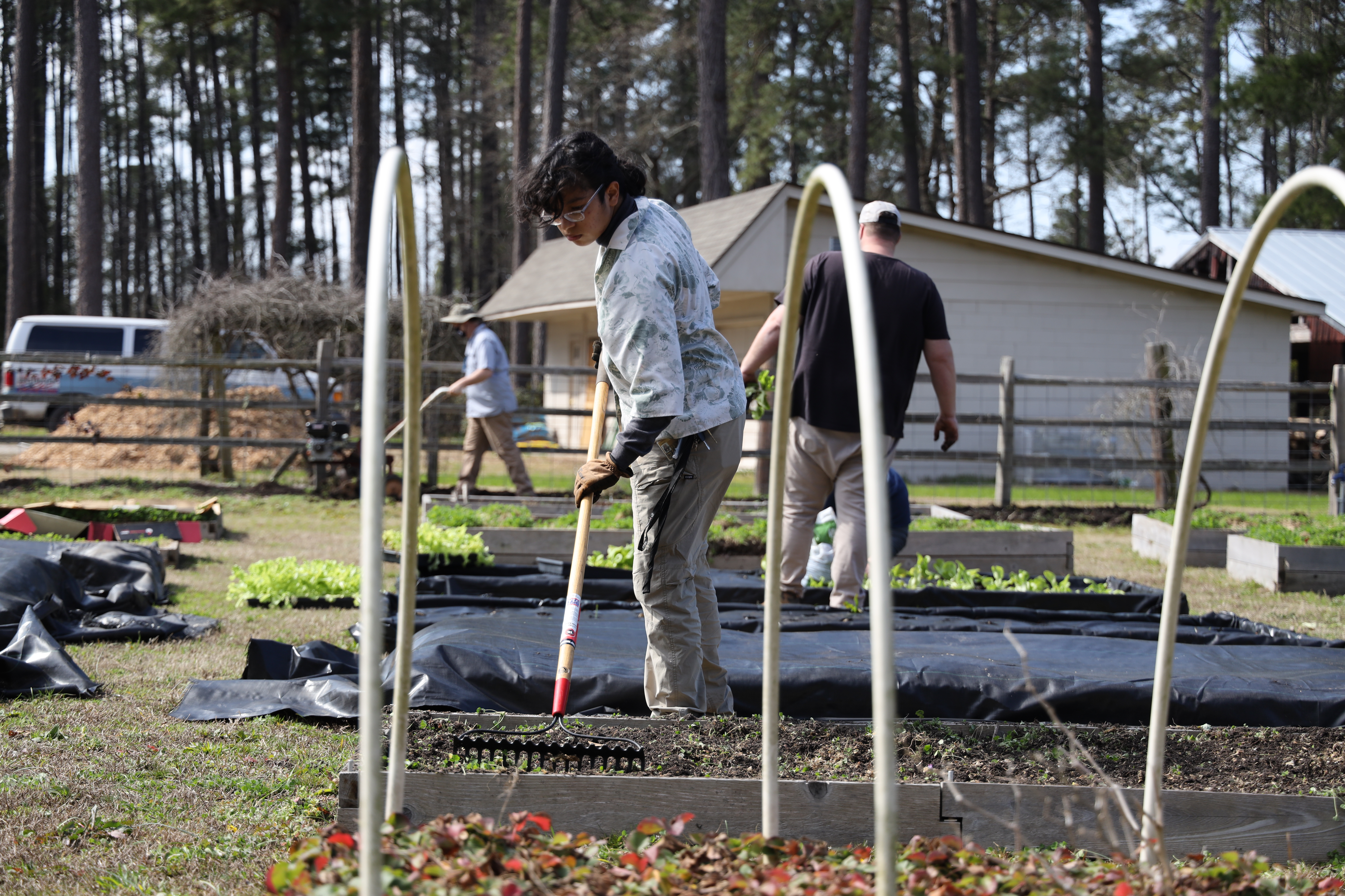UNCP student using garden tools in the field