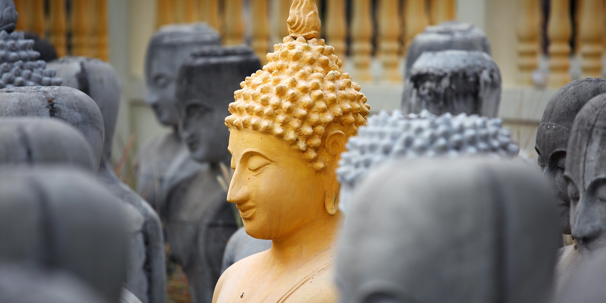 Stock image for philosophy - Buddha statue among an array of similar statues.