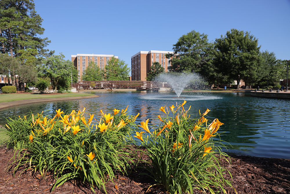 water feature with yellow flowers