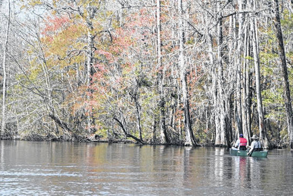 Joseph white paddling on Lumber River