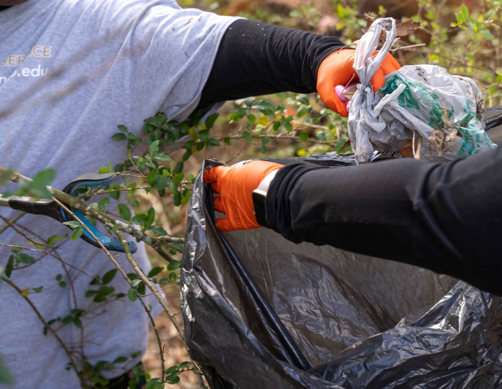 People putting trash in a bag while volunteering