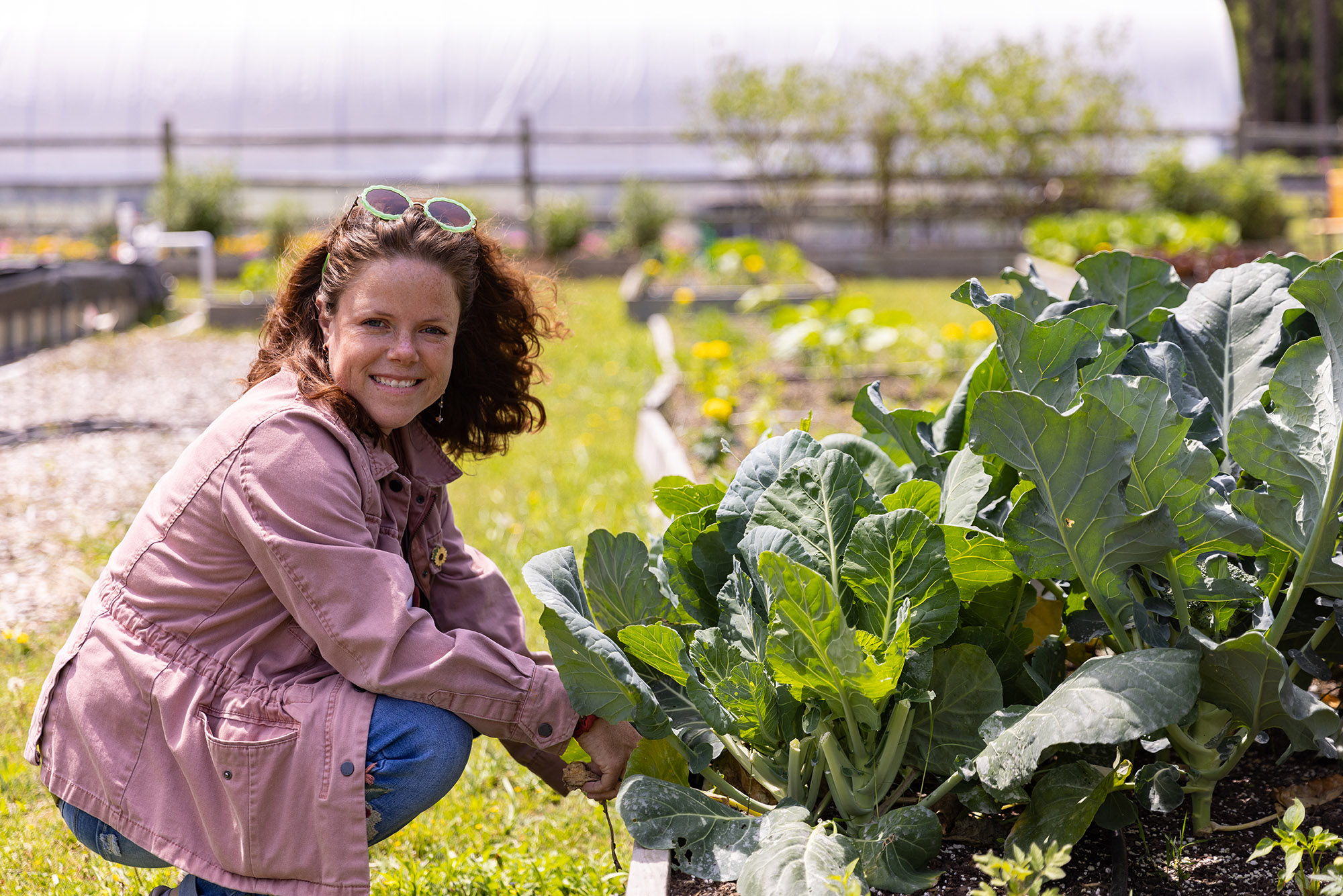 A UNCP agriculture student crouches beside a row of green vegetables in the campus garden.