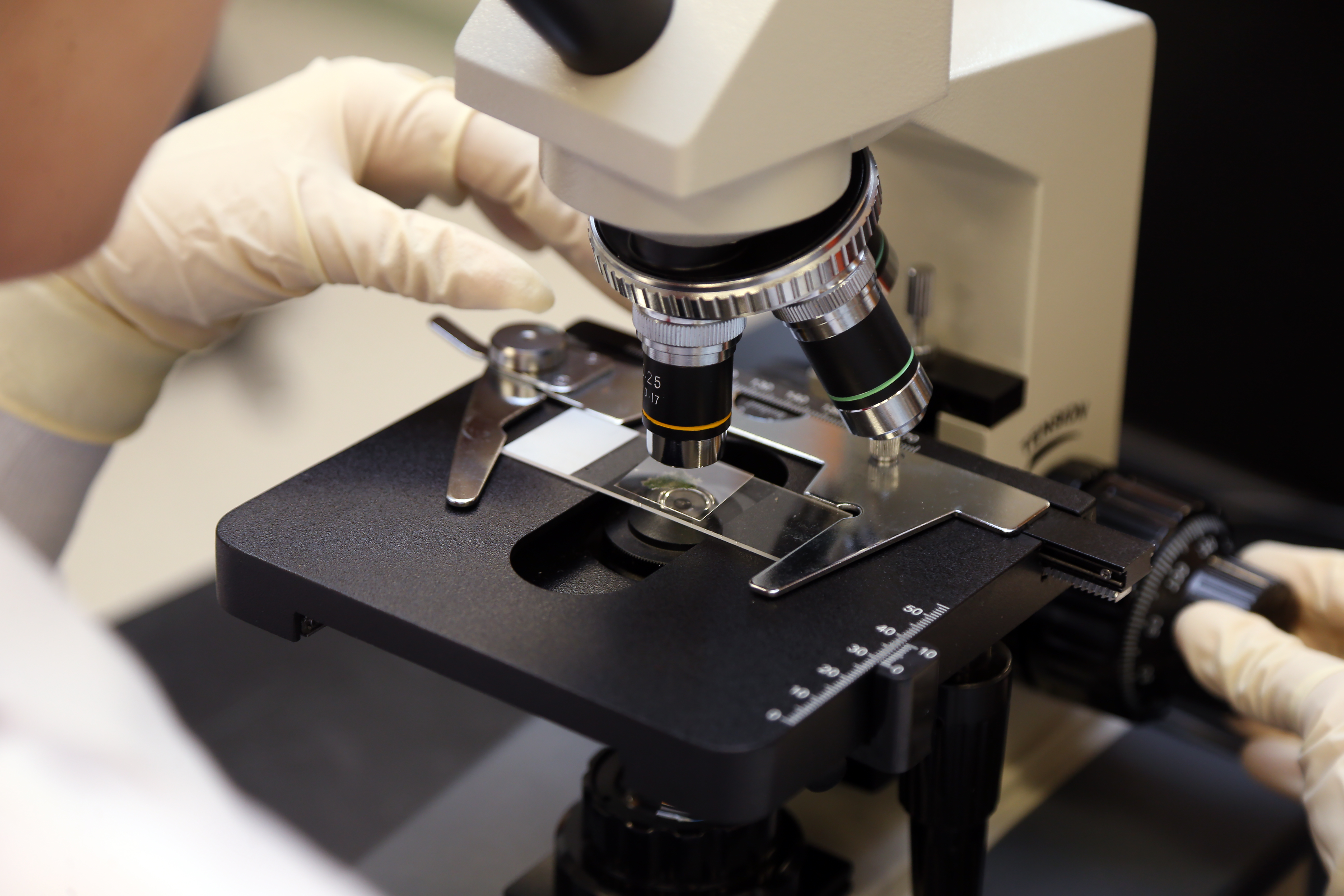 A microscope in use in a lab