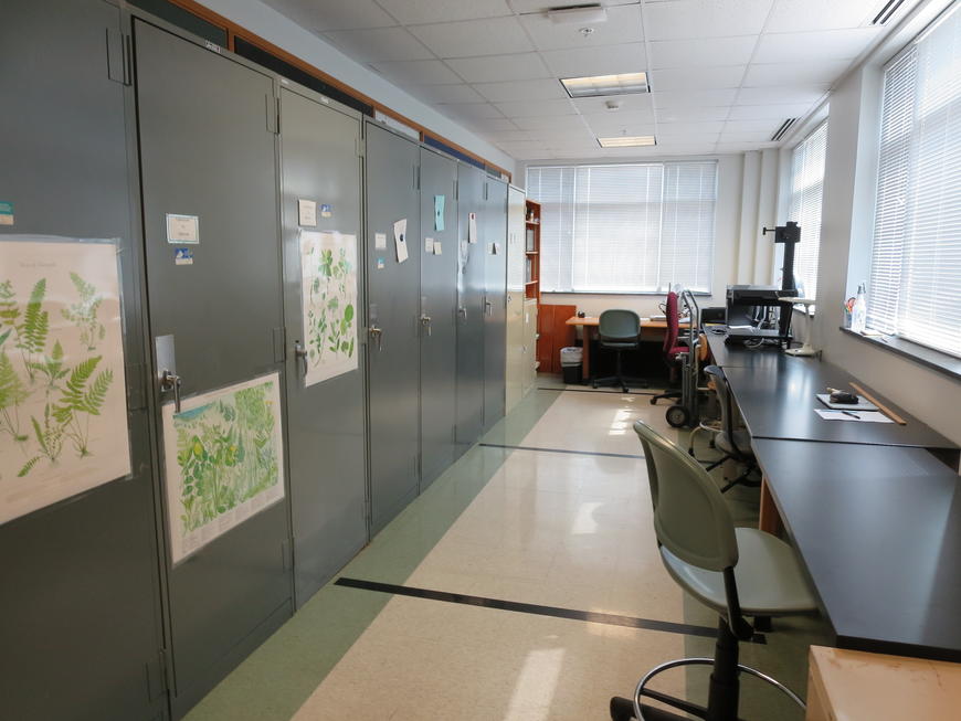 herbarium at UNCP