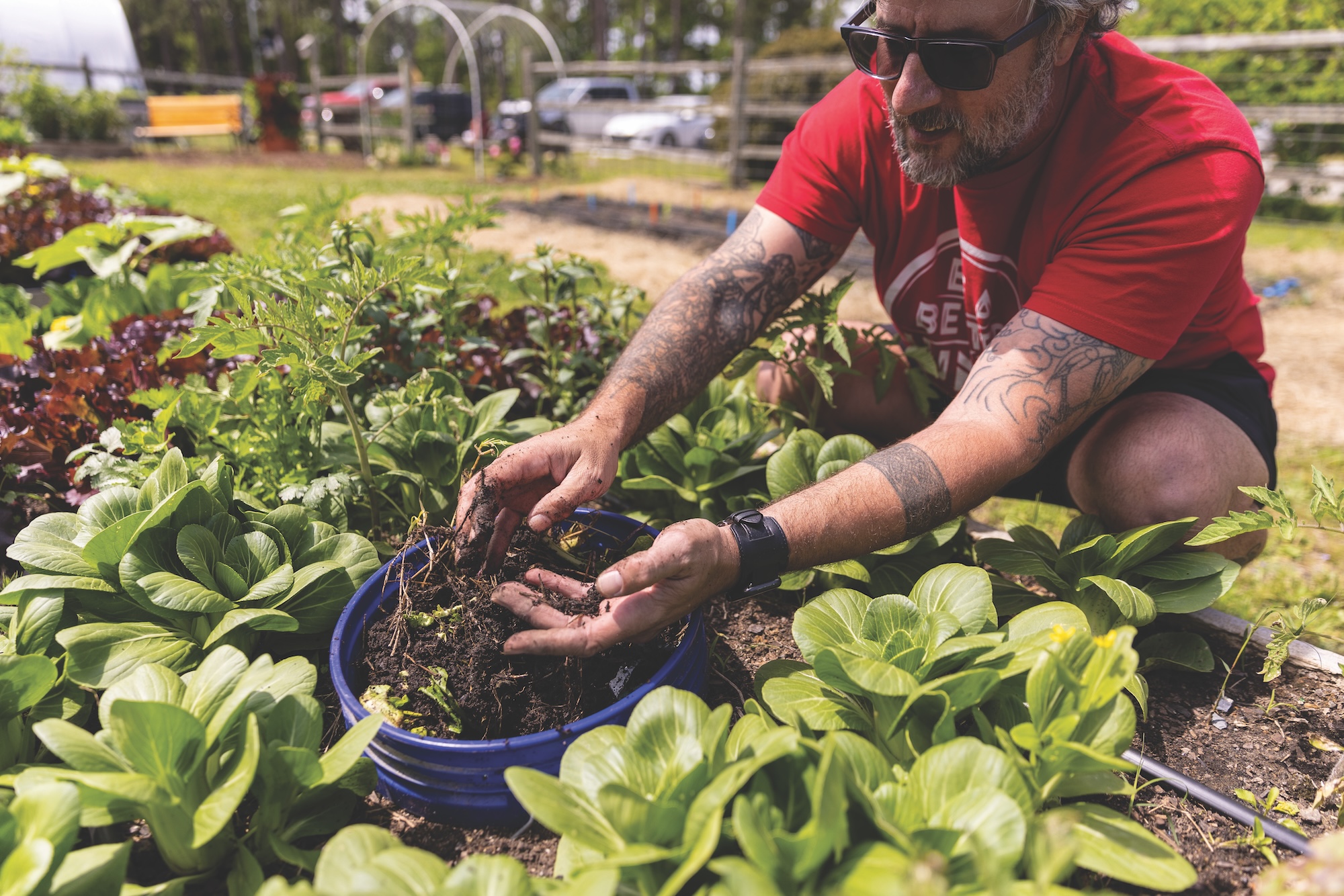 agriculture unc pembroke