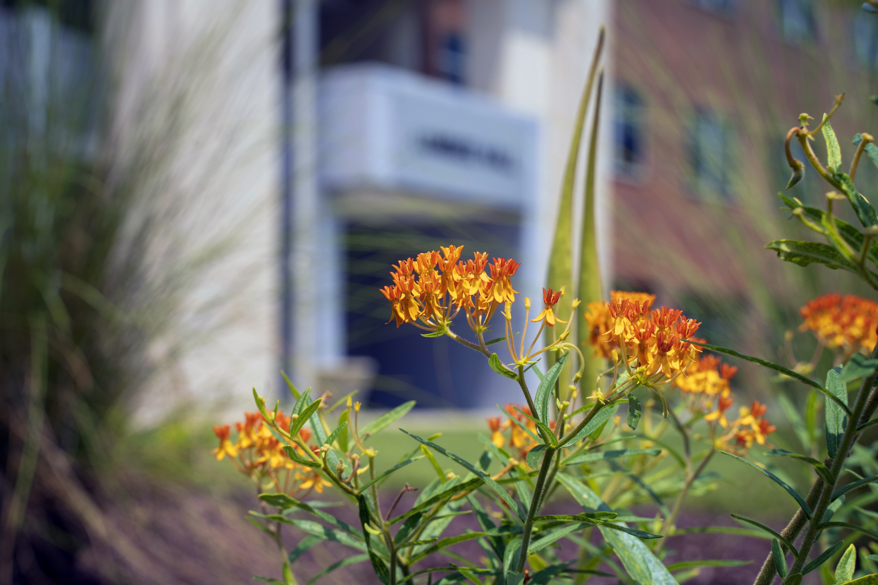 UNC Pembroke Lumbee Hall with flowers
