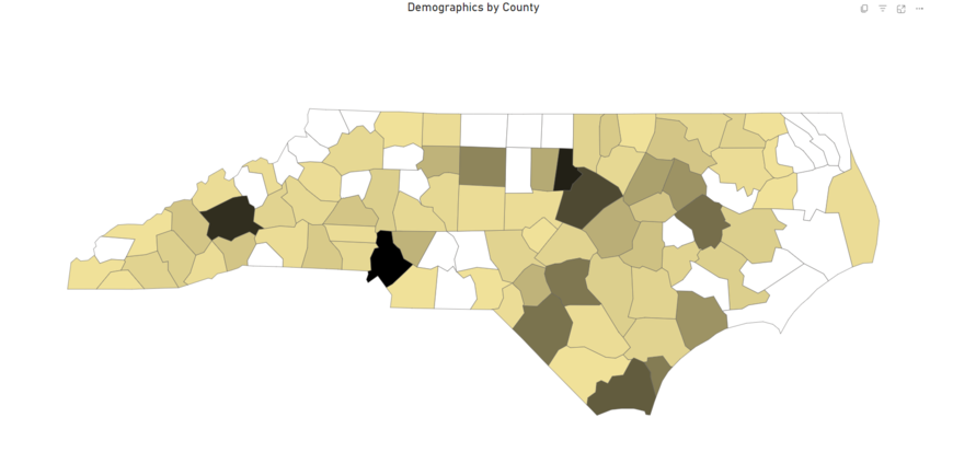 Demographics by County Visual Link