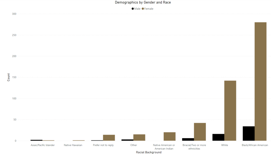 Race and Gender Visual Link