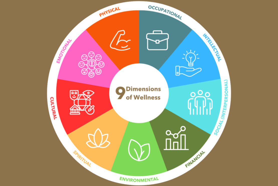 Circle graph of the 9 Dimensions of Wellness, Physical, Occupational, Intellectual, Emotional, Cultural, Environmental, Financial, Social (Interpersonal), and Spiritual