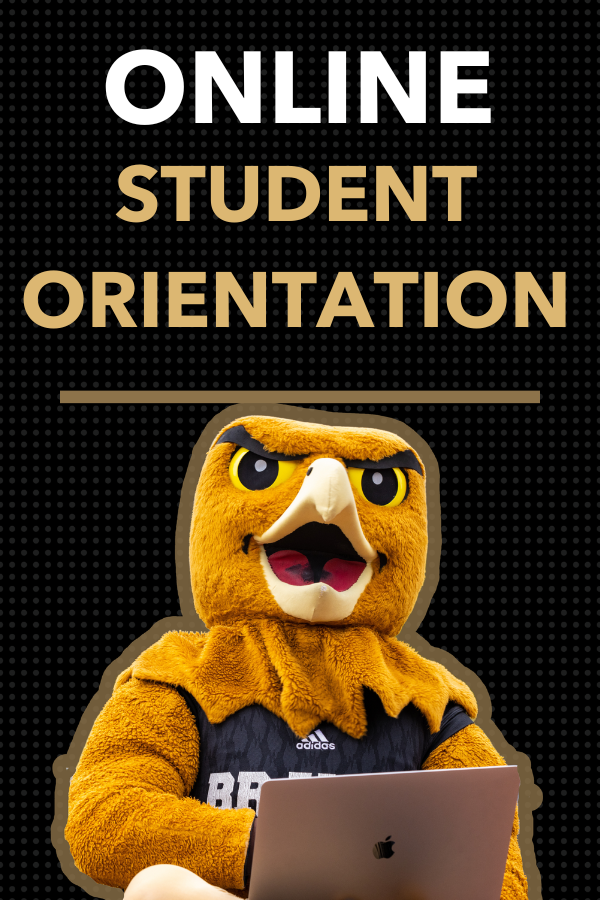 Online Orientation 