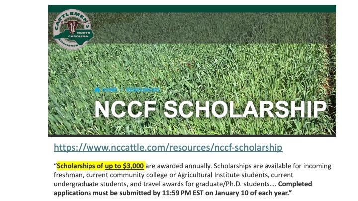 North Carolina Cattlemen's scholarship