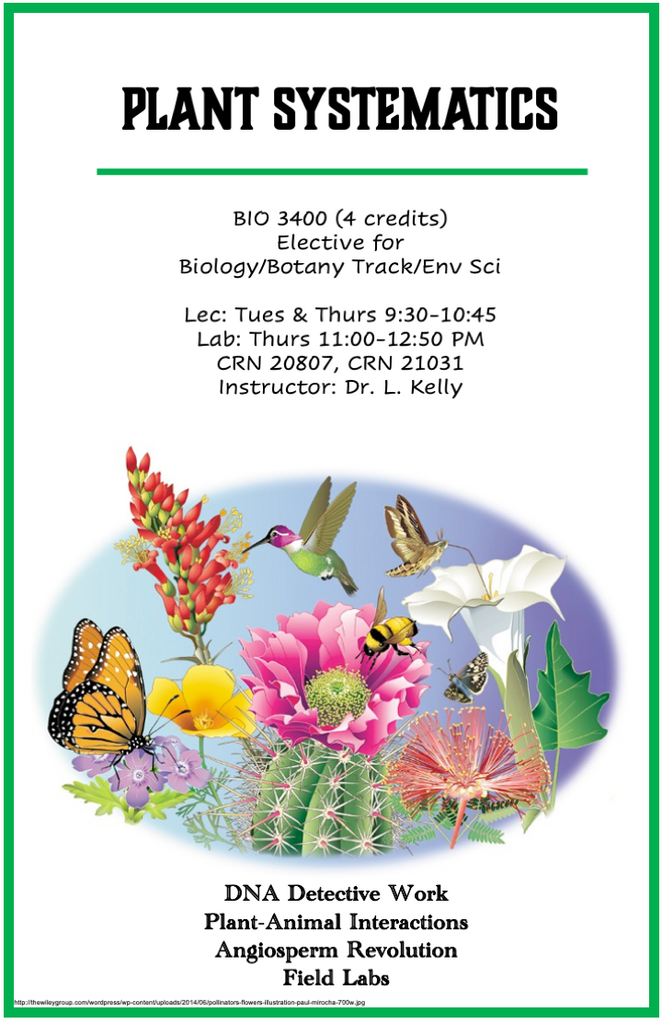 Plant Systematics Spring 2025